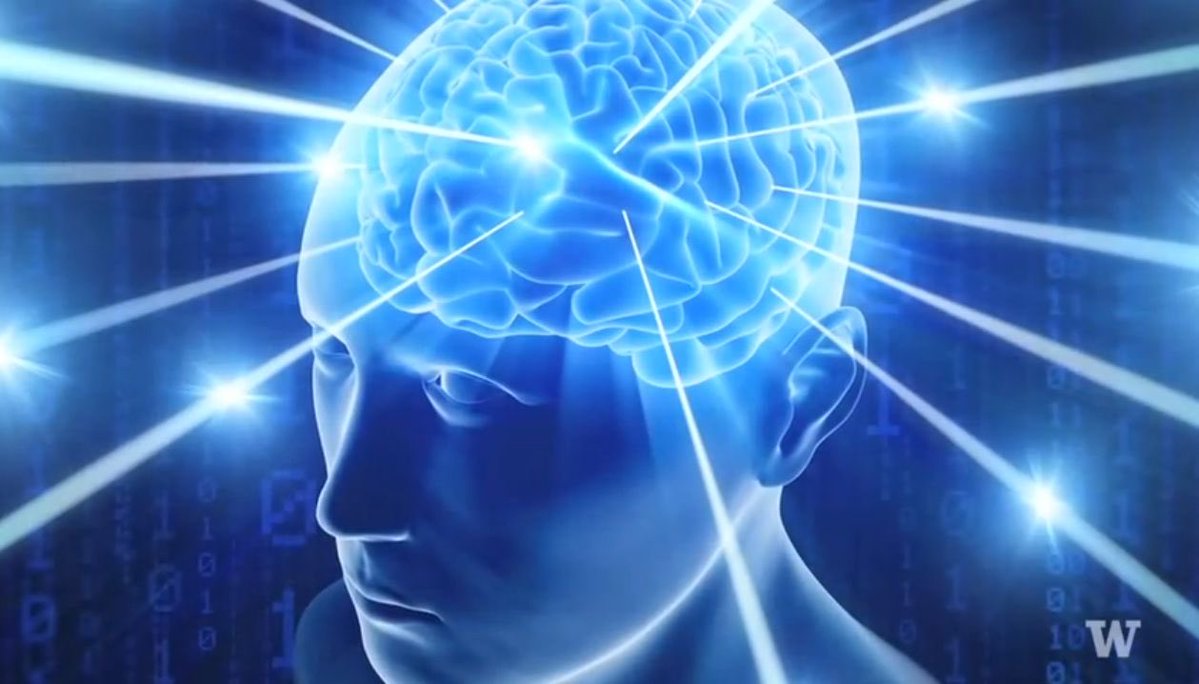 dsmlsidequest's tweet photo. @khushiirl His brain now https://t.co/ykBhjZ1C8m