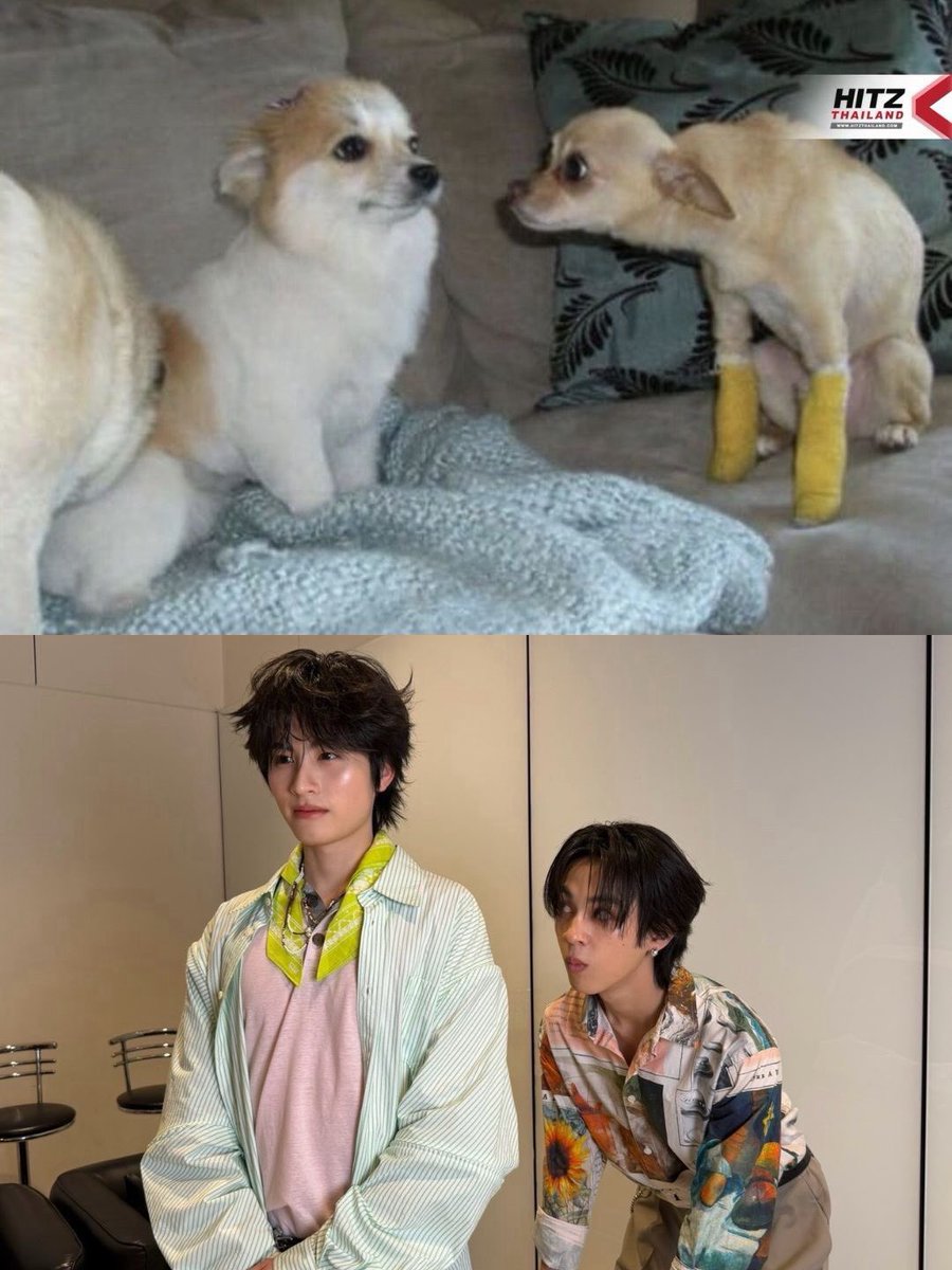 zlpwjd's tweet photo. เอเอ โซระ 5555555555 https://t.co/8nbtGdM2z9