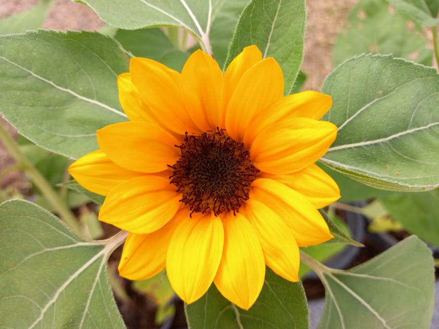 ReneRondoja's tweet photo. ينير على الذكريات السعادة الطويلة. الطرق aleisha axline🧐 https://t.co/Ryoy6fINgR