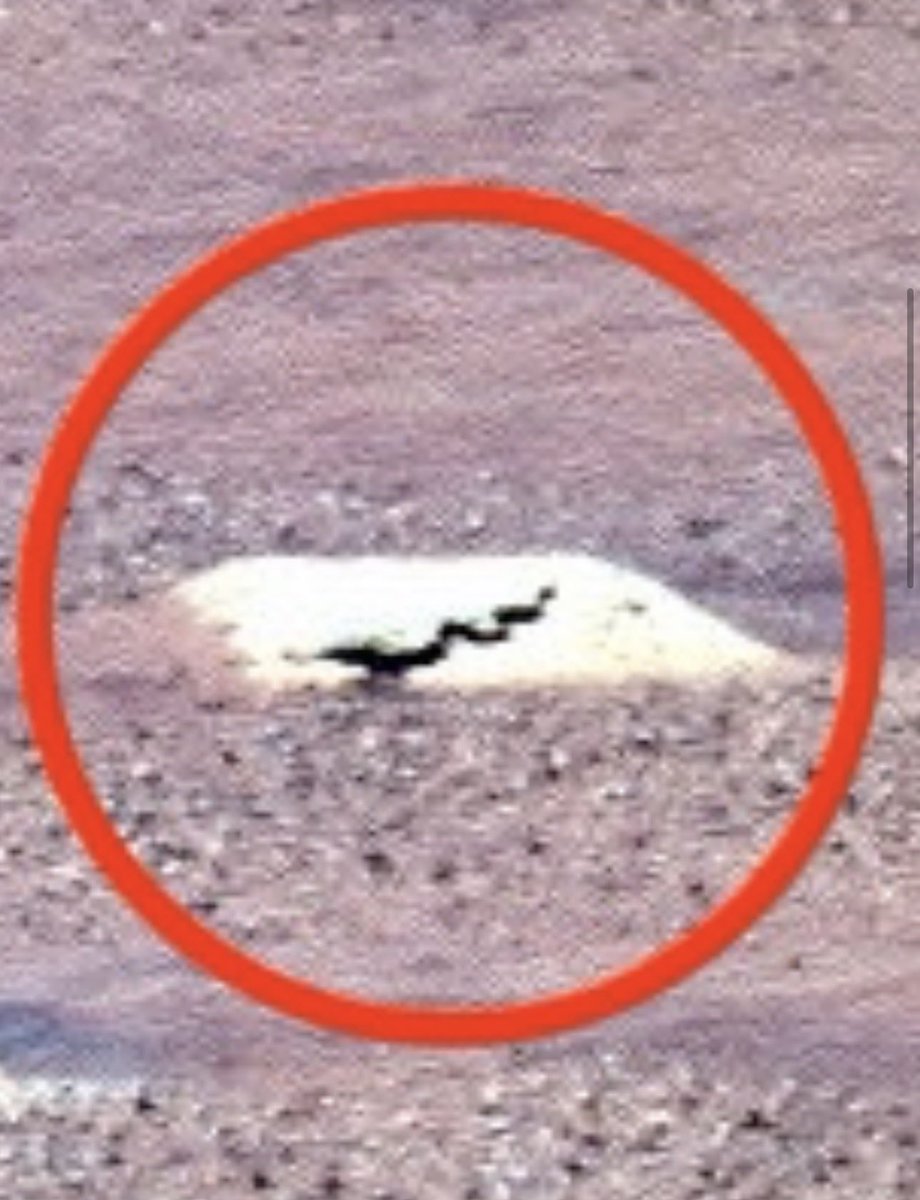 BrianRoemmele's tweet photo. Mars.
Date of discovery: Sept 1, 2026.
Location of discovery: Mars, Sol 693 Spirit rover.
Name: “The Snake”
Anomaly: A rectilinear white block with a snake-like motif. https://t.co/pcyYDfuWek