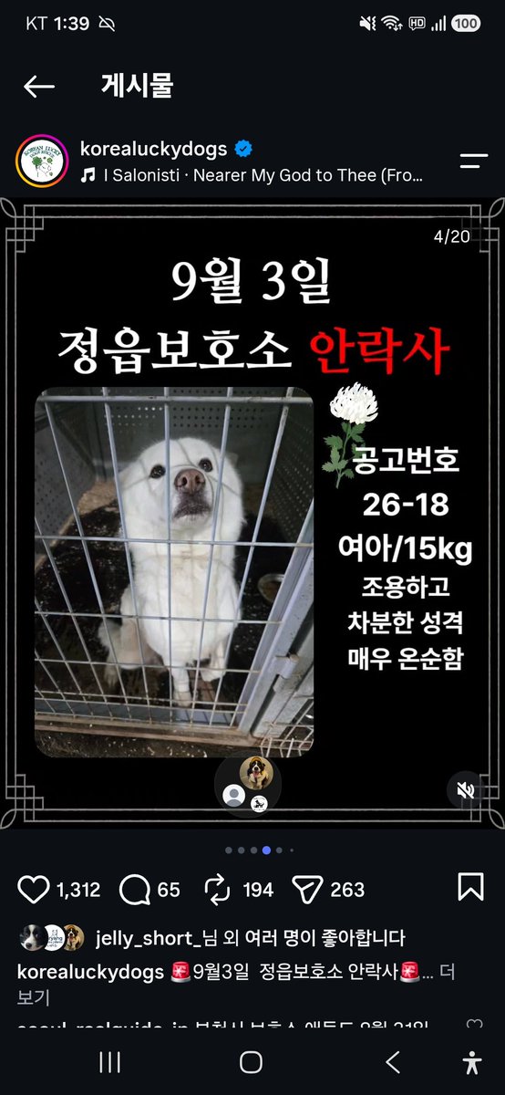 animalrtaccount's tweet photo. 9/3 정읍보호소 안락사
입양문의 063-535-6295
혹은 카톡채널 Korealuckydog
안락사아이들 일시후원
농협 351 1372 1862 63 https://t.co/44r4Ob78Lh