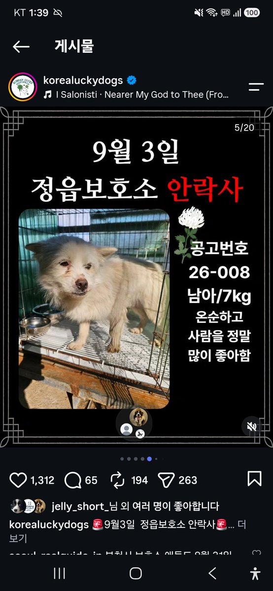 animalrtaccount's tweet photo. 9/3 정읍보호소 안락사
입양문의 063-535-6295
혹은 카톡채널 Korealuckydog
안락사아이들 일시후원
농협 351 1372 1862 63 https://t.co/44r4Ob78Lh