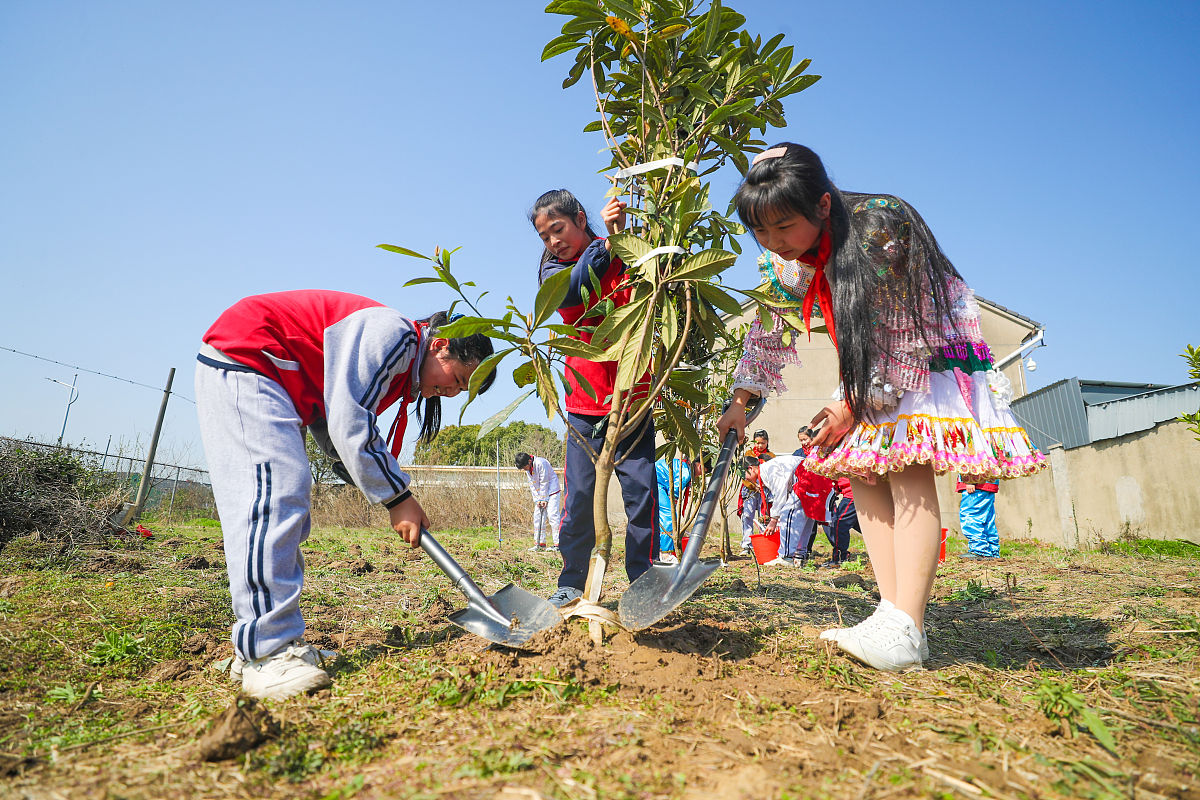 poonam_nitin's tweet photo. Our uni environmental club’s seed-planting activity kicks off this Sat! Bring your small trowel, join us to green the campus u0026 chat over homemade lemon tea. All members u0026 new faces welcome! https://t.co/UrlVS3QOVh
