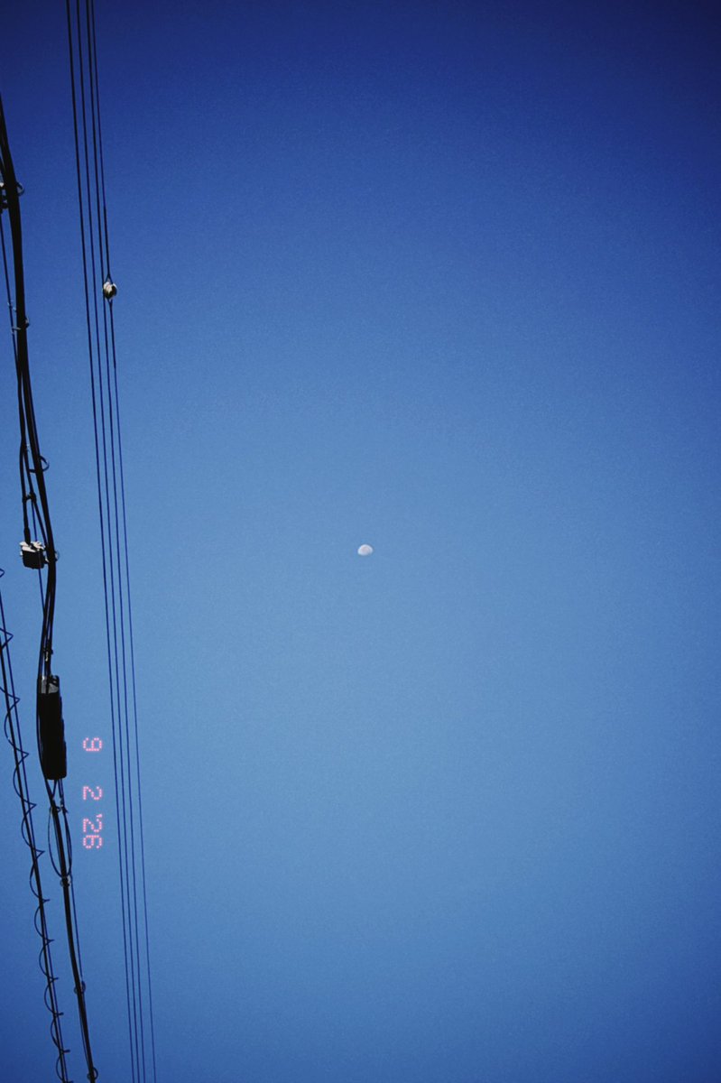 ri___tyandayo's tweet photo. お月様が出てた🌕
早く休みにならないかなぁ🥺
遊びたいよう✨ https://t.co/KnMu5vy4wG