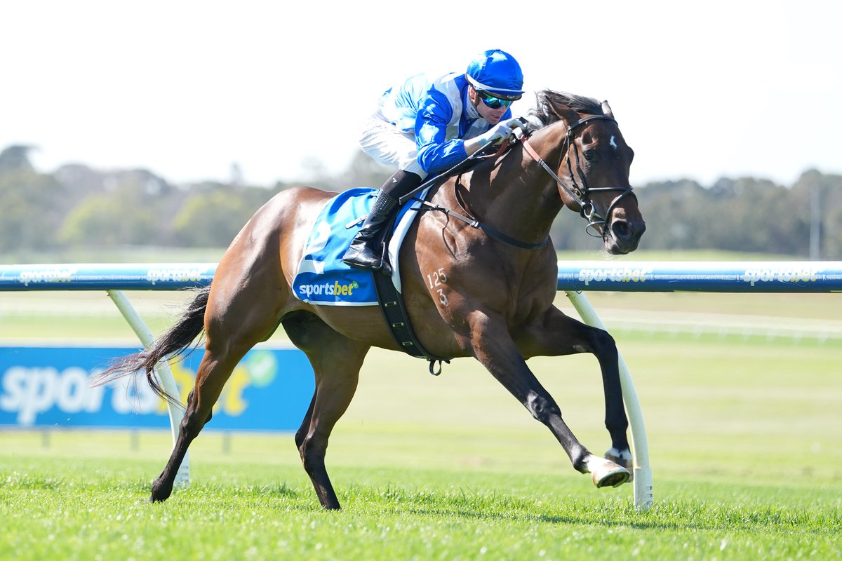 breednet's tweet photo. 400k Inglis Easter purchase from Coolmore, Boys Bounce was impressive at Sandown - Wootton Bassett colt going places   https://t.co/6a8qwTK01q @inglis_sales @CoolmoreAus @mcevoyracing @BelmontBldstck https://t.co/Do615EV3oG