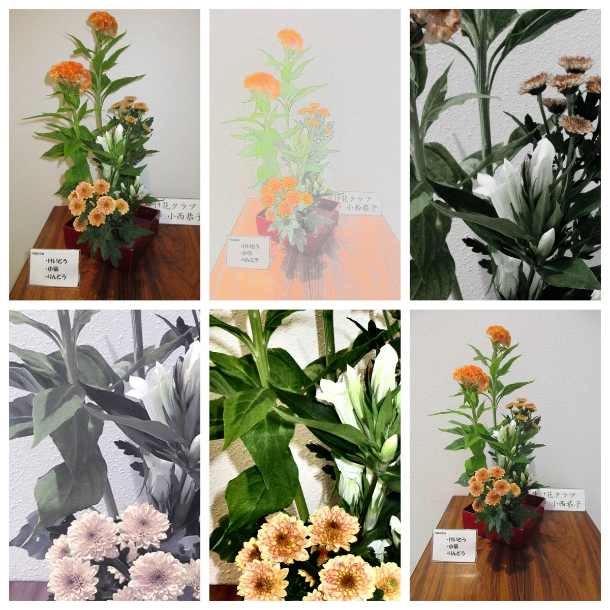 okasgk11's tweet photo. 生け花の小西先生が、今日も素敵な季節のお花をいけてくださいました✨
🧡オレンジのけいとう 💛オレンジの小菊 🤍白いりんどう  ぜひ館内で美しい生け花をご覧くださいね😊
今日はエスパルスのホームゲーム⚽️🌃✨みんなでエスパルスを応援しましょう📣🧡 
 #生け花 #清水エスパルス #spulse https://t.co/GOwAtP333a