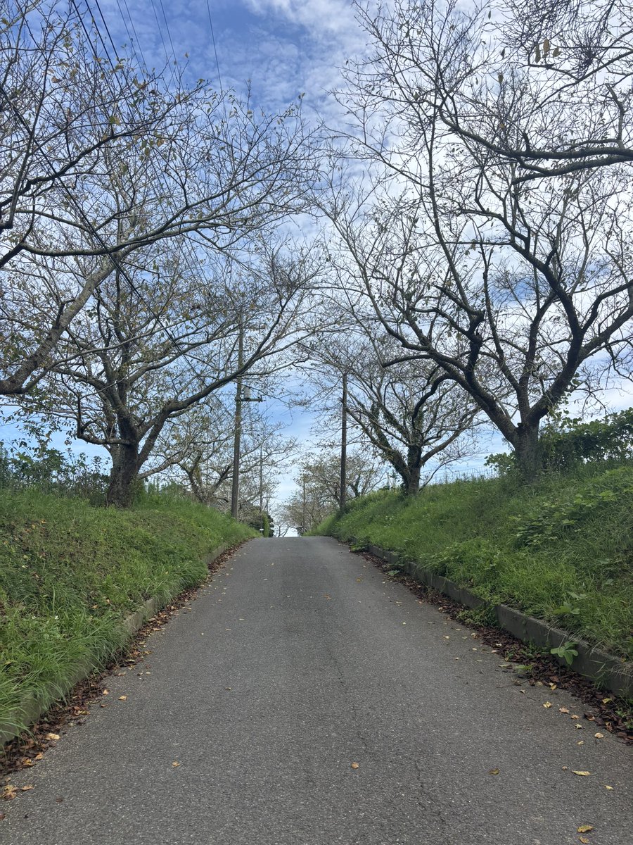 Sorafkdj's tweet photo. 日向坂46 2期生楽曲
世界にはThank you!が溢れている
MV 聖地巡礼

🐮高秀牧場🐮

#日向坂46
#高秀牧場 https://t.co/qr2BTLhCtP