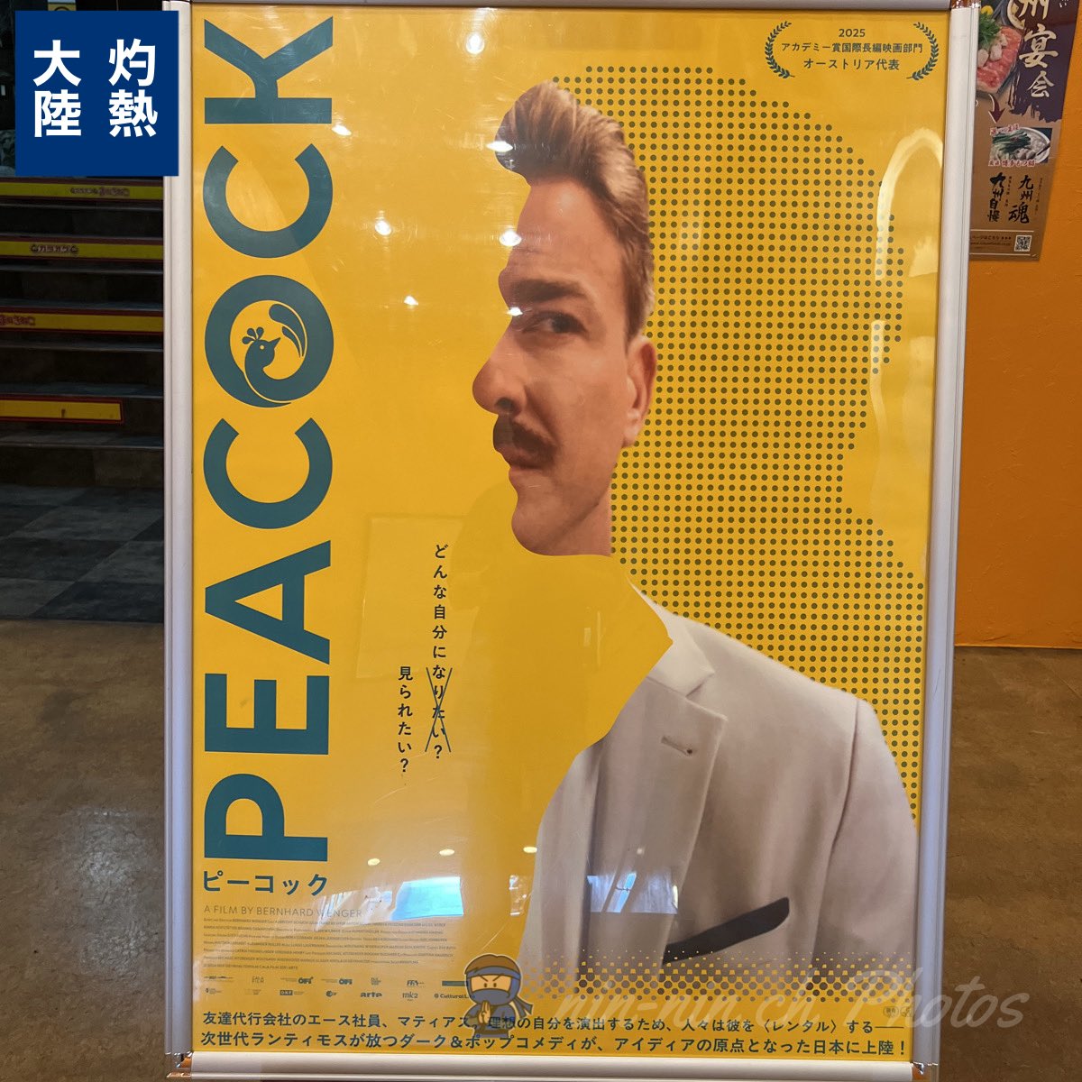 nin2ch's tweet photo. #PEACOCK 
#ピーコック

楽しみです！
では、行ってきます！
 
#シネマヌーヴェル https://t.co/AOH8MfUHYo