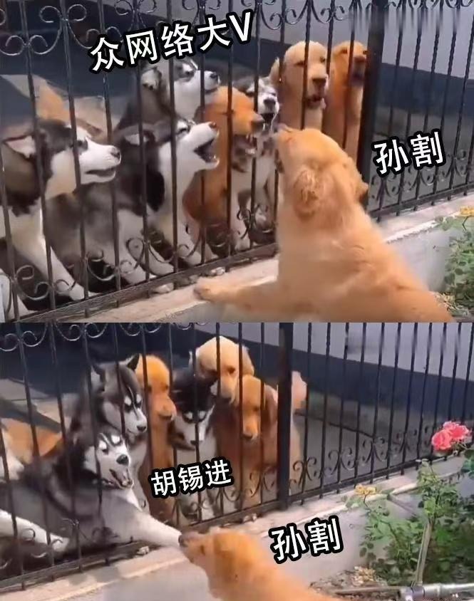 LaoK201106's tweet photo. 如果说孙割的上一篇文章《我的野蛮女友大甜甜》，引发的讨论还是彩礼退不退，体面不体面的问题。 

那么，孙割的新文章《致胡桑》,就相当于孙割用推特搭了个台，写了一篇诉苦大会的开幕式致辞。 

孙割：我先自捅一刀，兄弟们随意。 

而胡桑的回复更招笑，颇有一副被打的毫无还手之力的嘴硬老登，强行往回找补，以维持自己的 体面不塌。 

“等你回北京的时候咱们再好好聊”。 

谁给你咱，孙割认识你是谁吗，就咱，还好好聊。 

只能说，不如保国。 

事实证明，诉苦大会是不能开的，一旦开了，国党俘虏都能变成坚定的解放战士。 

最后，让子弹飞一会吧