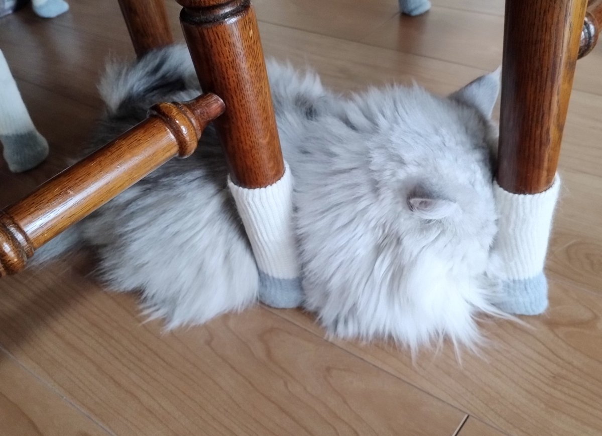 nyanbashira0219's tweet photo. ねこちゃんてめり込むくらい頭押し当てて寝るよね(-ω-)💤
#ミヌエット 
#ねこのいるくらし 
#猫がいる幸せ https://t.co/5DzrRqhzIc