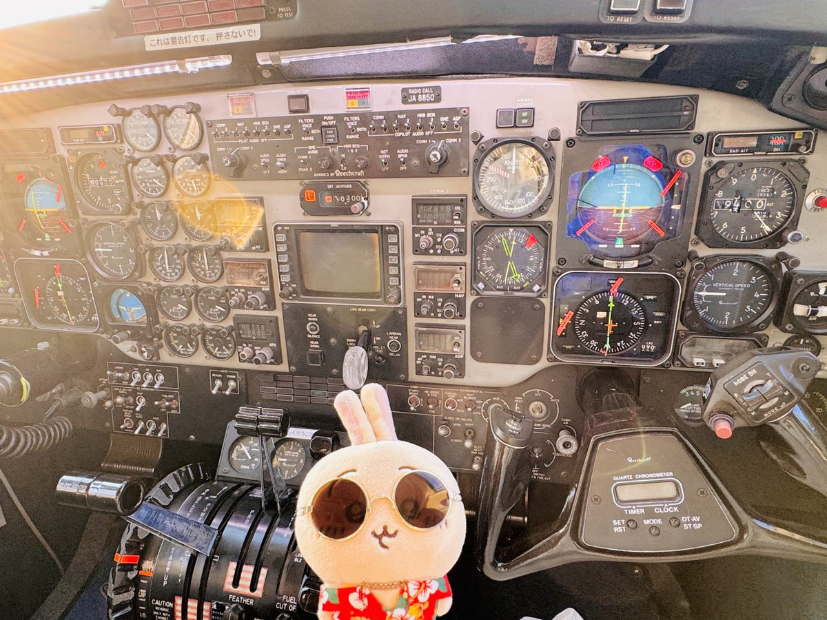 usatanlovelove's tweet photo. 帰りは宮崎空港から飛行機で✈️帰宅
うさぎパイロット🧑‍✈️ありがとう
宮崎の楽しかったところ、少しずつポストしま〜す🏝️ https://t.co/iRkFkXUPHw