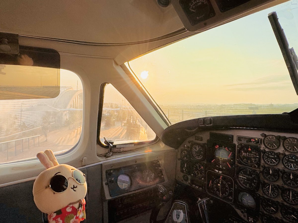 usatanlovelove's tweet photo. 帰りは宮崎空港から飛行機で✈️帰宅
うさぎパイロット🧑‍✈️ありがとう
宮崎の楽しかったところ、少しずつポストしま〜す🏝️ https://t.co/iRkFkXUPHw