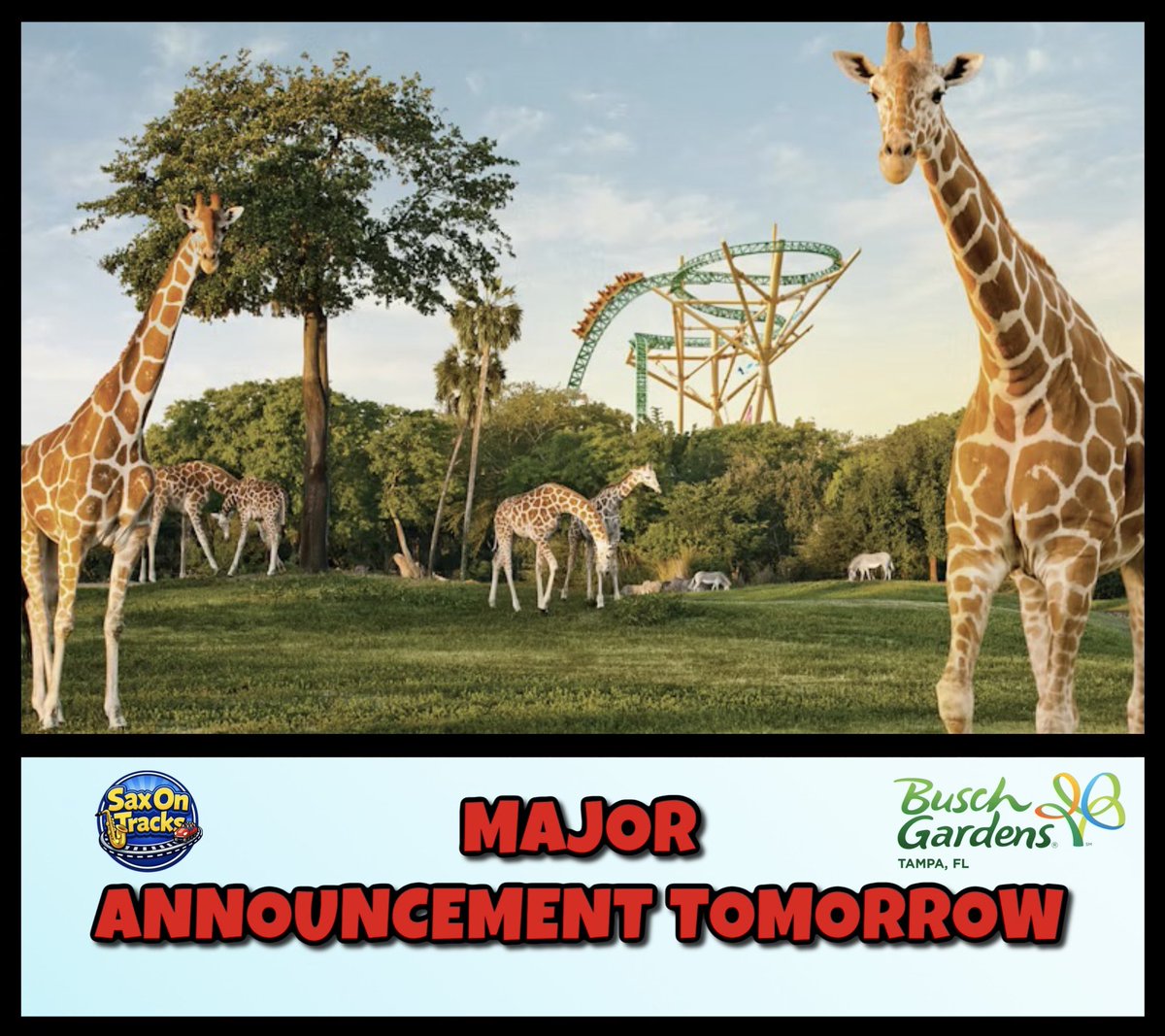 SaxOnTracks's tweet photo. I have a major announcement involving @BuschGardens Tampa tomorrow. Still in absolute disbelief that this is really happening. Be sure to tune in tomorrow morning! You’re gonna want to follow along on this next adventure! https://t.co/ZWulrL88nx
