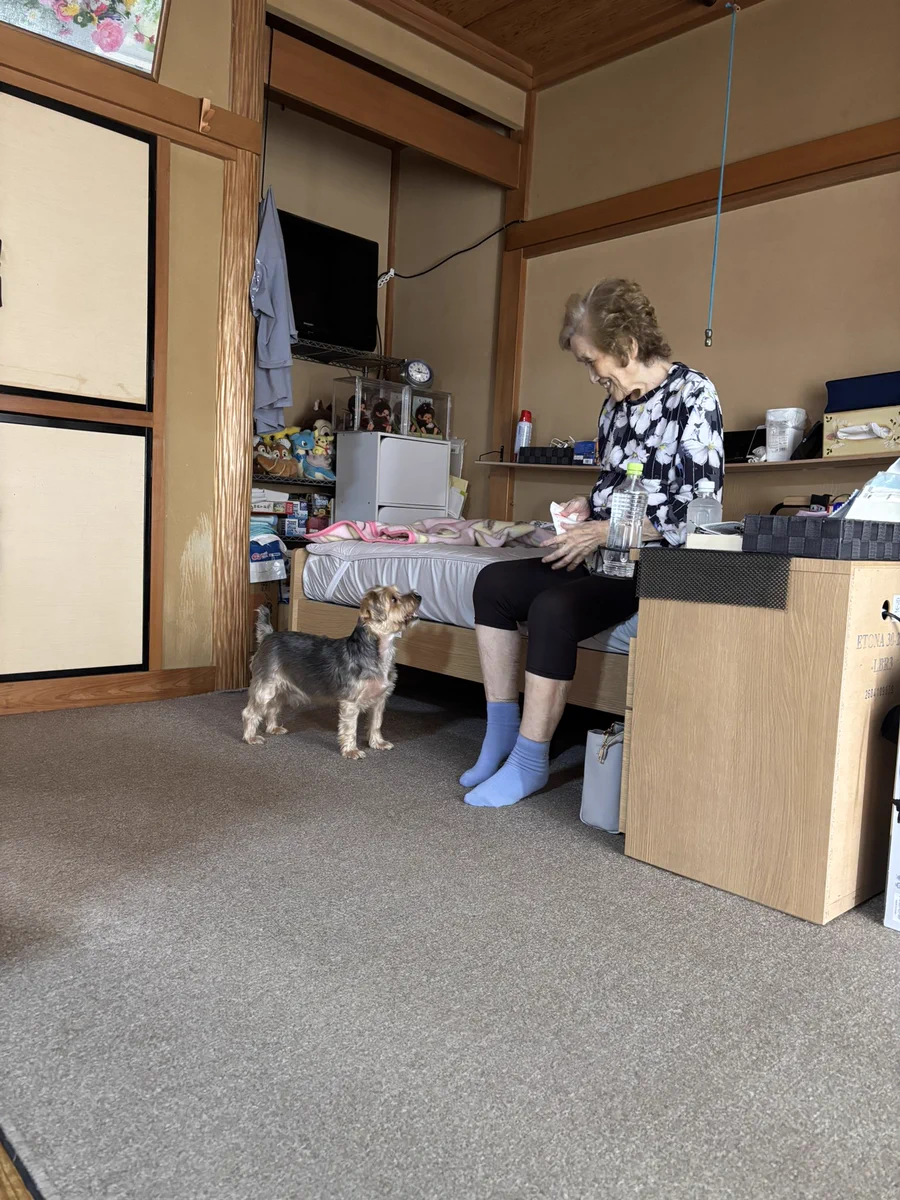 みやも on X: 