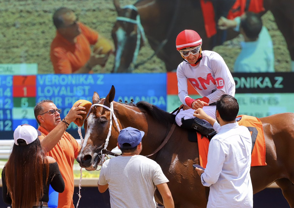 JFDAngelo's tweet photo. Veronika Z • Leonel Reyes • Jose Francisco D’Angelo

#GulfstreamPark | #RoyalPalmMeet | #HorseRacing https://t.co/QNJG2cnjYc