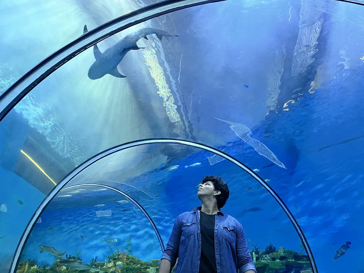 JeneeKielibh's tweet photo. Lost in the blue world. Exploring the ocean’s depths, one tank at a time. https://t.co/u5xqMFq8a5