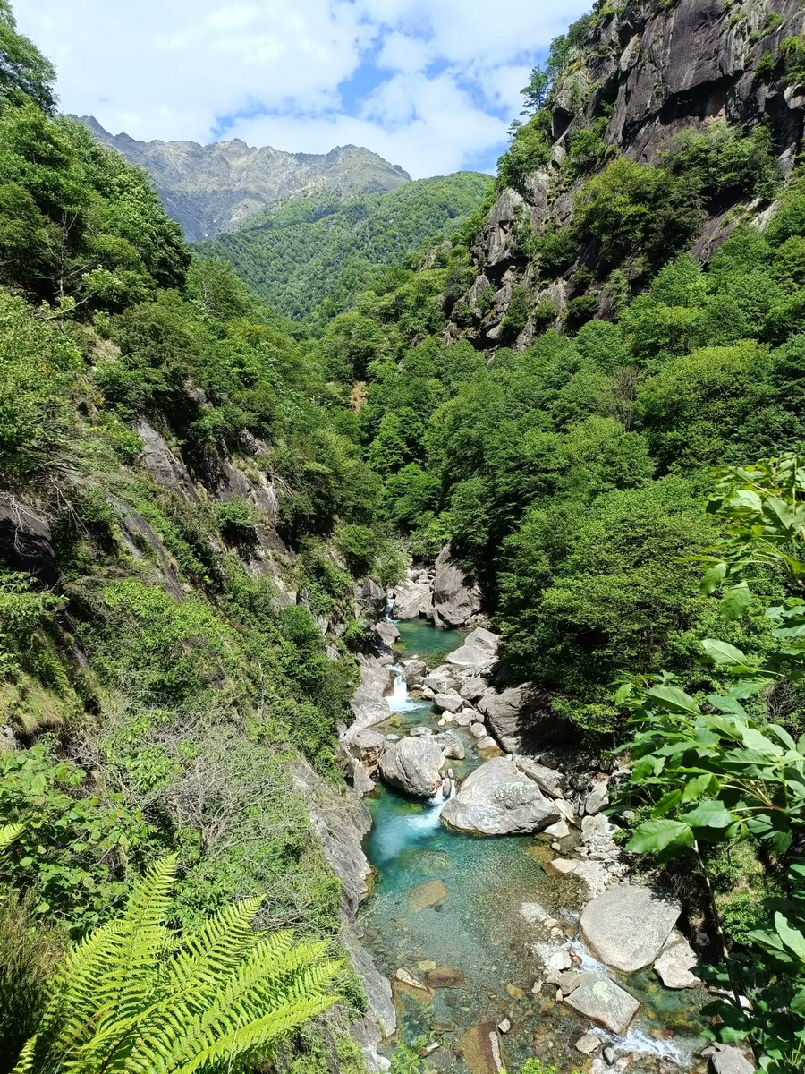 DelorasHartong's tweet photo. Cicogna and Val Pogallo https://t.co/y9O14MLmks
