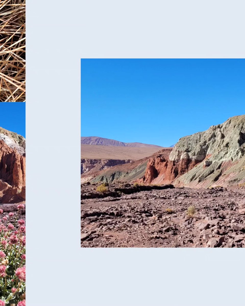 MiloVisor's tweet photo. Rainbow Valley, Chile

A few days have passed since our visit to Valle del Arcoiris, near San Pedro de Atacama. Green, red, and white rocks beneath a deep-blue sky, dotted with flowers and cacti. Just when you think Chile can’t get any better, it https://t.co/IU4d5YUt3e