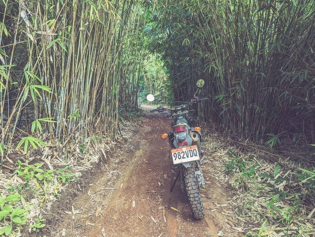 YingBelfiore's tweet photo. Palawan Tropical Avenue—take me home! https://t.co/Eh5q75BecK