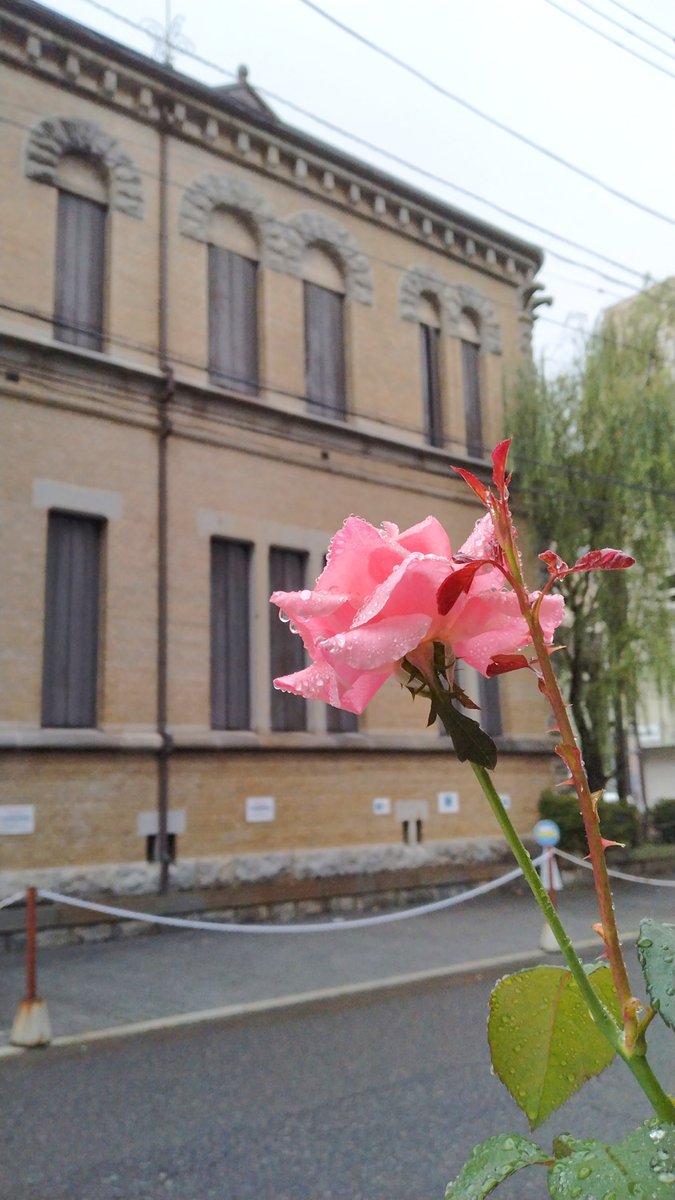 Nandarikan's tweet photo. おはようございます
楽天イーグルス⚾
今日は年に一度の盛岡開催
バスケ部だけど
野球大好き長男は現地観戦🎈
中止になりませんように
秋物衣類が続々入荷中😉🎉
なんだり館オープン‼️
#盛岡市 #morioka https://t.co/sAdcnT0zCF