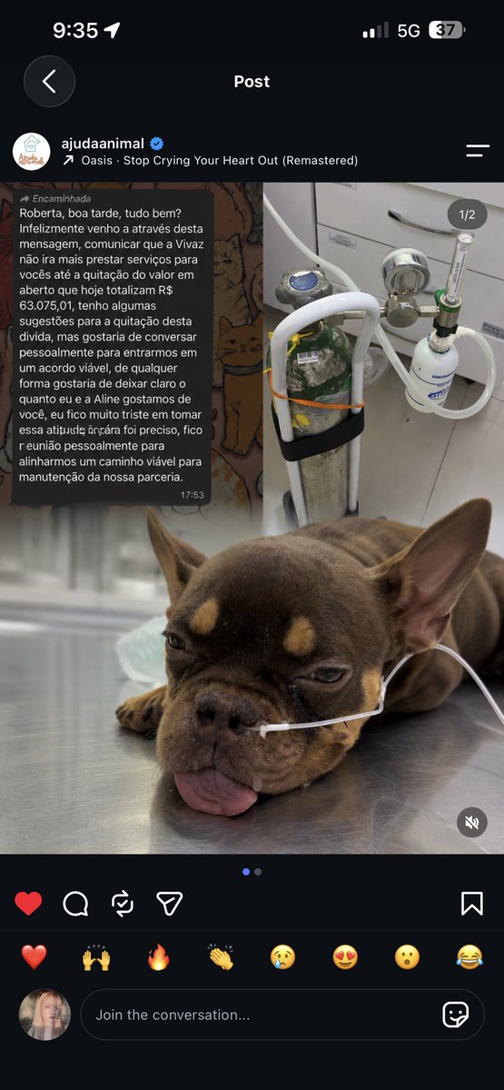 giuzita's tweet photo. a ONG ajuda animal está precisando de ajuda URGENTE 🚨 

a clínica veterinária que ajuda eles está precisando ser paga (são +60 mil em dívidas) e se não pagarem vão parar de atender

a ong é SUPER CONFIÁVEL voluntário há um ano lá https://t.co/FkP3XUFSqA