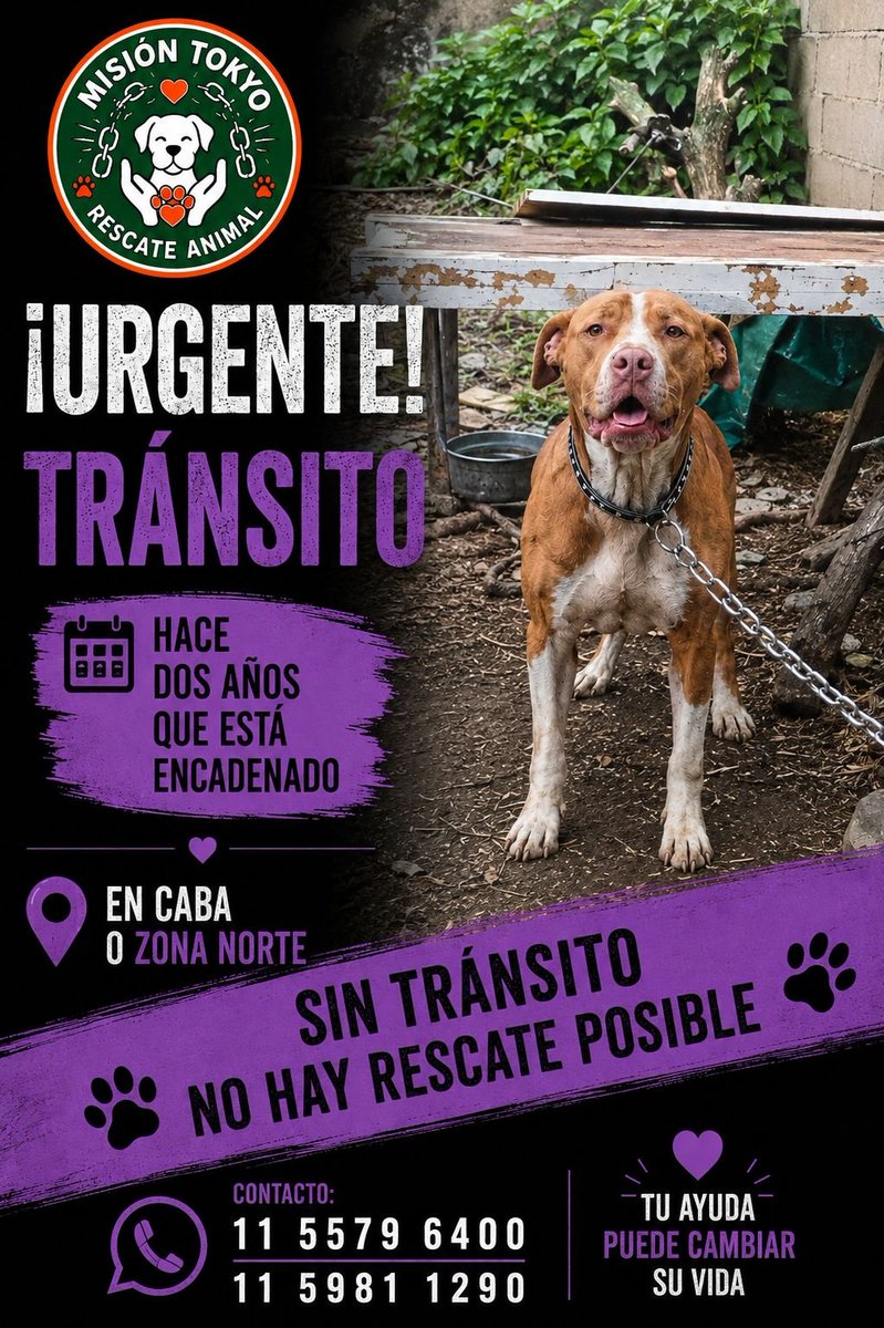 patripeyrou's tweet photo. RtA
Ayuda urgente https://t.co/c9EItcqXJP