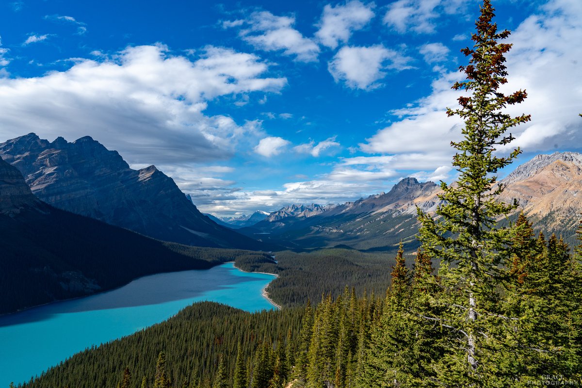 BonitaLinegk2's tweet photo. Early autumn in Banff National Park. Clear water and untouched greenery. Shot on a Sony a7 IV. https://t.co/tW9UdYgvDl