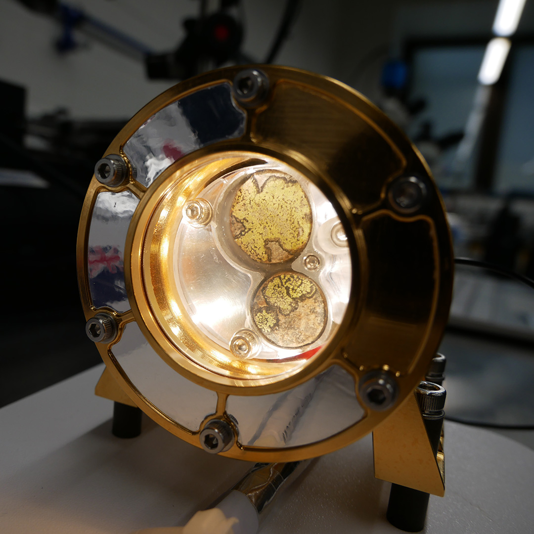 AusSpaceAgency's tweet photo. Projects in Motion ▶️ Lunaria One

Later this year, Melbourne-based consortium Lunaria One is set to launch its ALEPH-1 plant growth experiment to the Moon with Intuitive Machines. https://t.co/NyirrVarBs