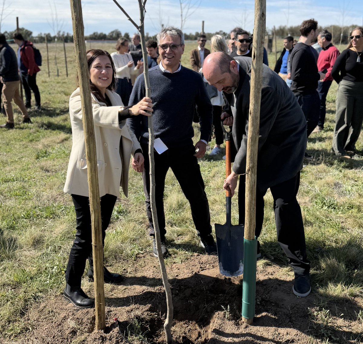 UNS_oficial's tweet photo. “70 años, 70 árboles”: una celebración pensando en el futuro! 🌳

Gracias a Unipar y a Compañía Mega se creó el Bosque del Aniversario en el Campus de Palihue 💚
👉https://t.co/TWw4JbrmAE https://t.co/gxxQZoAgtn