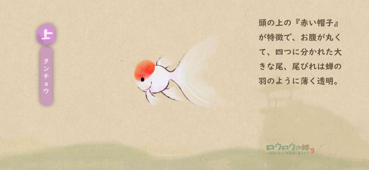 aoshima_shiro's tweet photo. https://t.co/ab64VngtIr