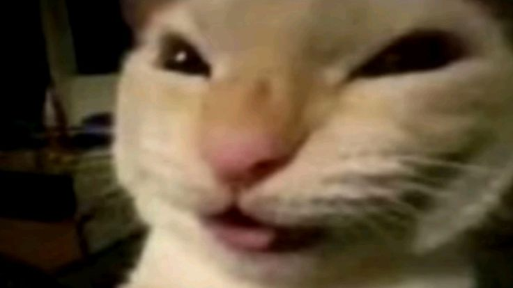 Polvoerrante's tweet photo. @_CKAMIKASE_ vou fazer seu oc e vc n pode impedir muahahaha (vítima de psicologia inversa desde 2015) https://t.co/YRfMxd672V