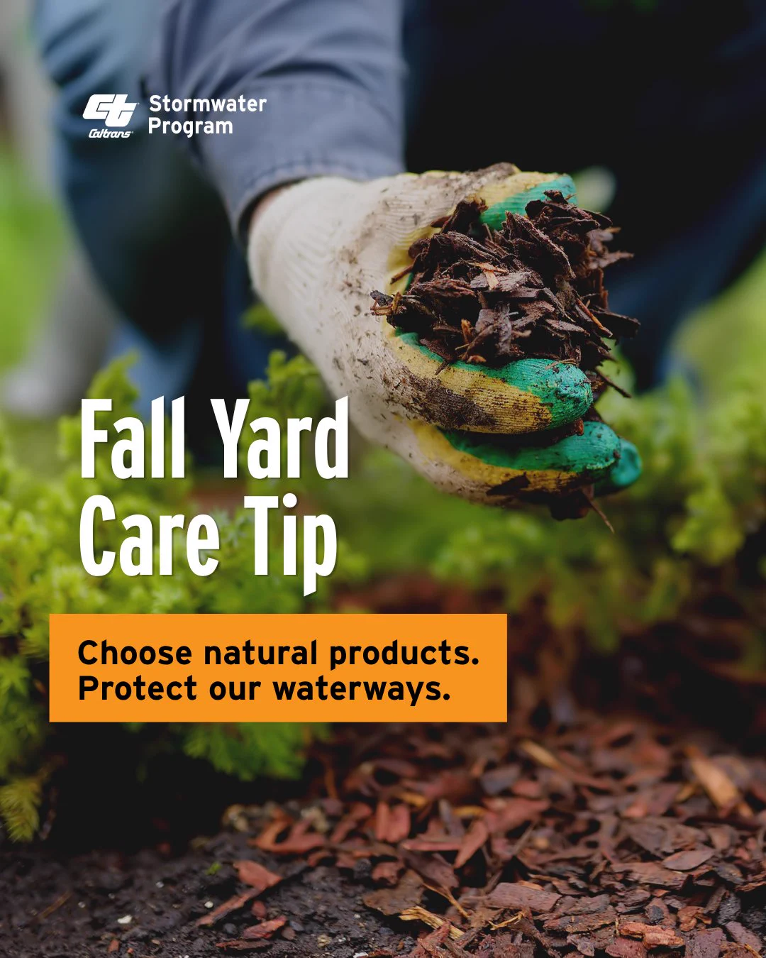 Caltrans Stormwater Program graphic featuring a person wearing gardening gloves and holding a handful of mulch over a garden bed. Text reads, “Fall Yard Care Tip” and “Choose natural products. Protect our waterways.”