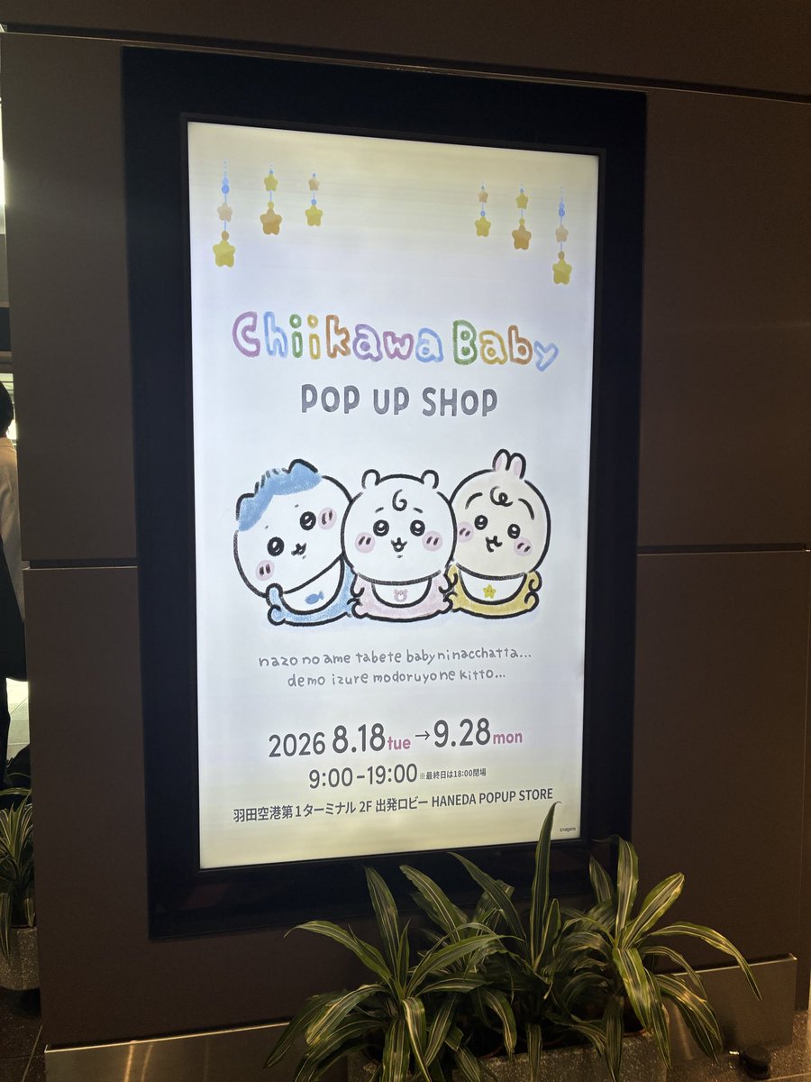 chiii__0501's tweet photo. 1週間前東京行ってて、行けて嬉しすぎた️🫧
もう9月なの早い🥹 https://t.co/Bv9qVAYgc4