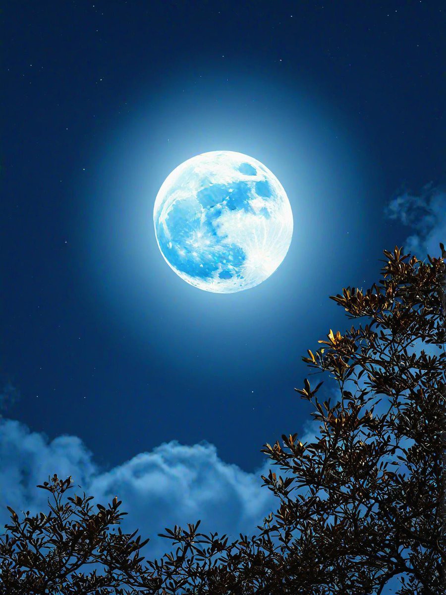 RoseStanlegm's tweet photo. Cada noche, compartimos la misma luna y nos recordamos: la distancia no rompe nuestra conexión https://t.co/jj1skmChU5