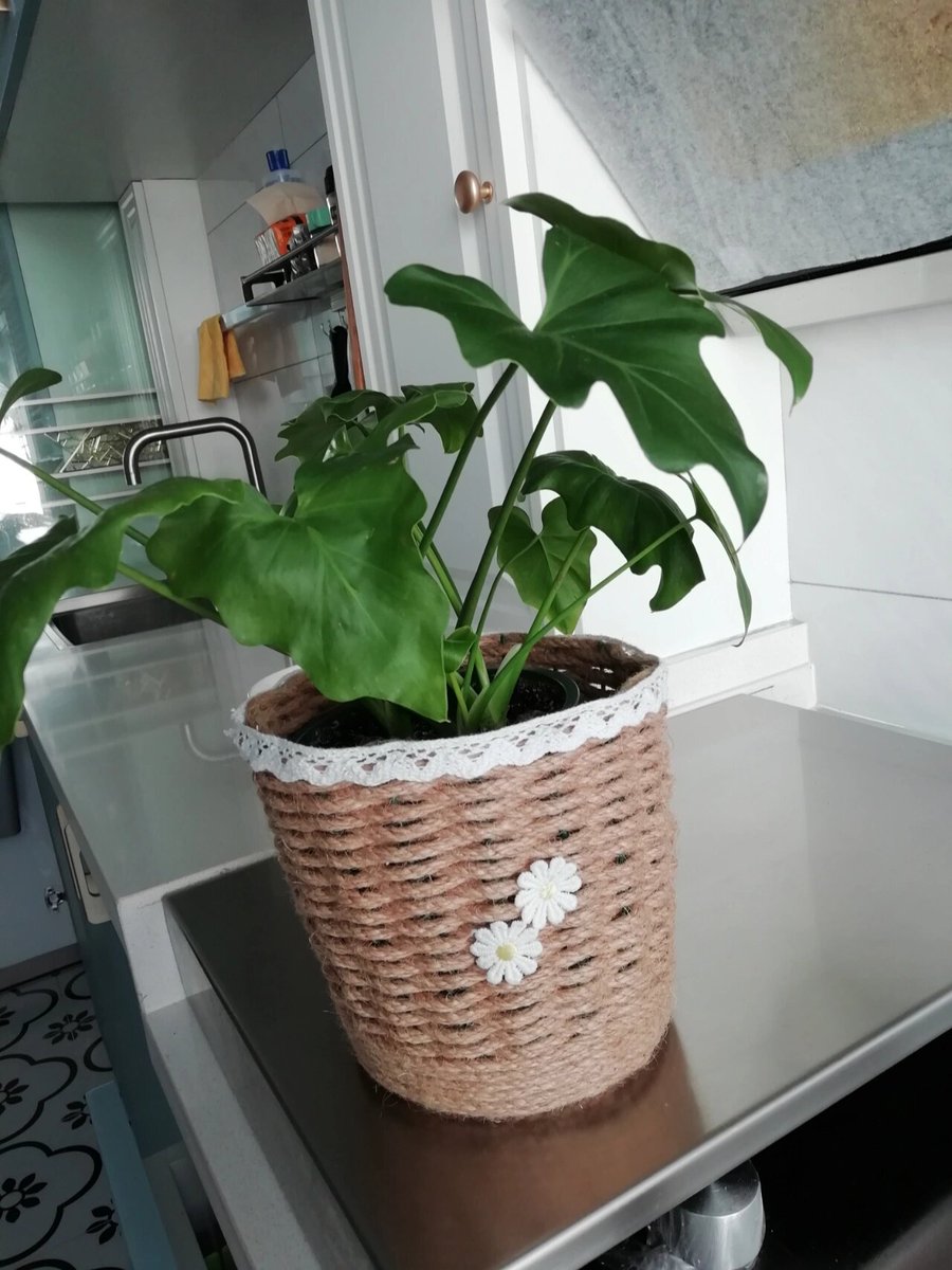 BirsenGurdal's tweet photo. Just finished my first macramé plant hanger using only cotton cord! The knots are a bit wonky but it feels so rewarding—crafting is the best therapy ， https://t.co/Dofrl8DDqn