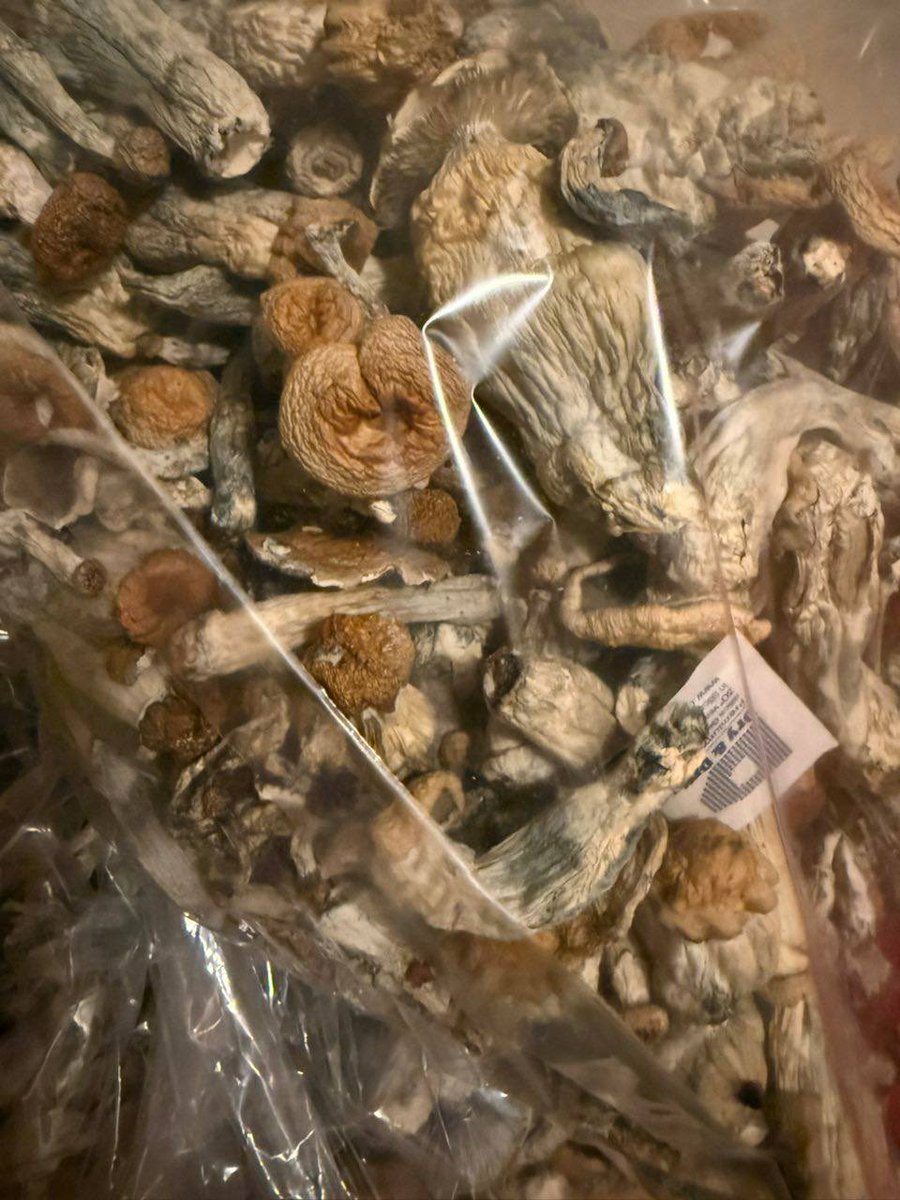 Nigageng's tweet photo. TOP SHELF INDOOR EXOTIC CANDY Products:** Real Zaza, Cali Kush Gas, Za Bud THC oil, Cannabis Oil, THC Liquid, THC Vapes, Edibles, and Mushrooms. **Weed plug available in New York, Toronto, Los Angeles, San Francisco, Chicago, Seattle, Miami, Boston, Denver, Atlanta. https://t.co/uaWUy8rw0x