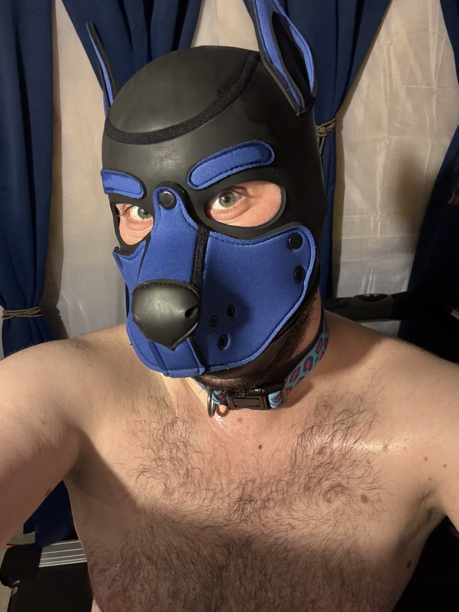 safari_kyle's tweet photo. Just got done running anyone want a sniff? 

Will post clips later…

#pupplay #hairy #sweaty #gay #exercise #submissivetraning https://t.co/2bzDAK9nMA