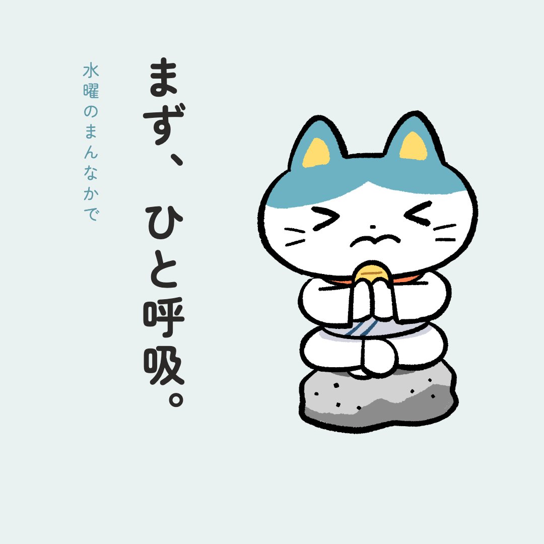locone_official's tweet photo. 週の真ん中の水曜日。お疲れ様です🍵

＃ロコネ　#猫 https://t.co/h3ZsaPr8k0