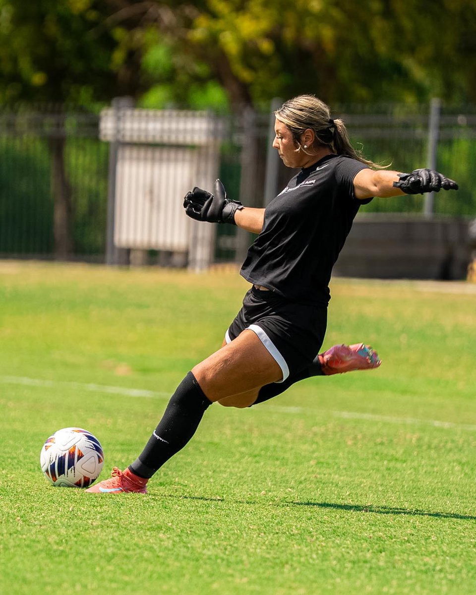 Lion_WSOC's tweet photo. Eyes up. Energy high. #HailET https://t.co/YJw1iyNEn0
