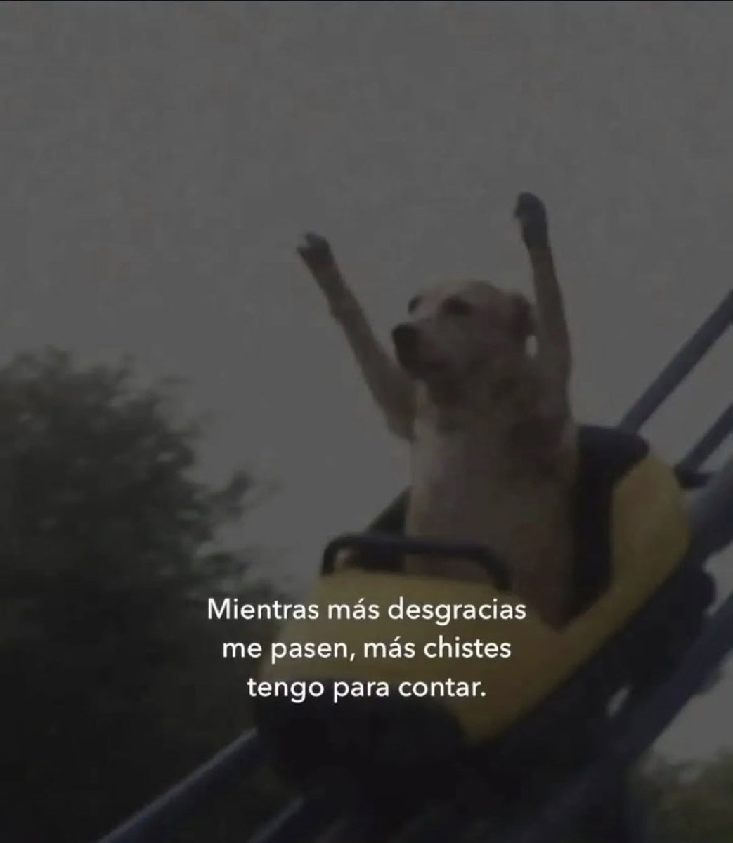 frogaddiction's tweet photo. EL PSICÓLOGO DICIENDOME QUE TENGO UN HUMOR MUY PARTICULAR JAJAJAJA REALMENTE RÍO PARA NO LLORAR. https://t.co/4ogBNt376r