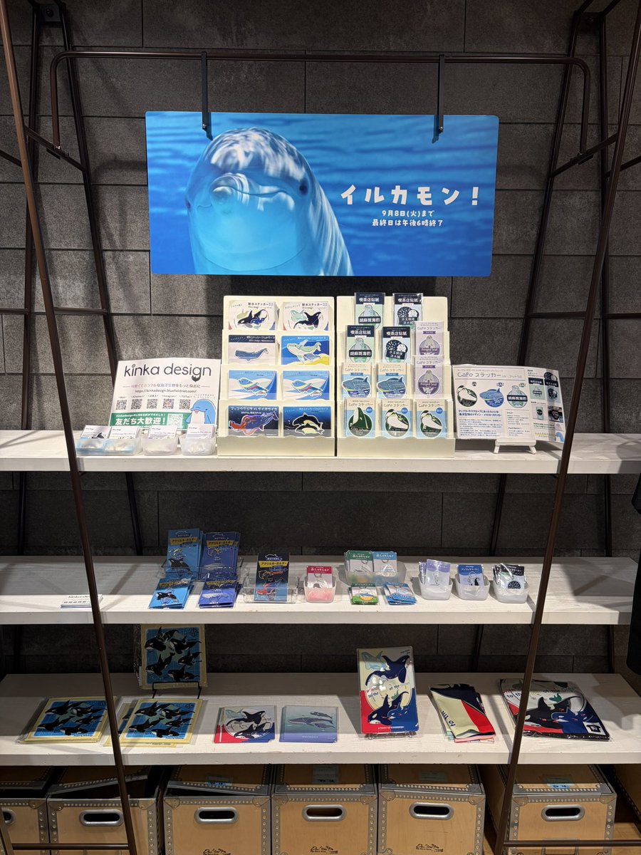 BlueFieldnet's tweet photo. イベント開始✨
早速お客様も来ていただいています🐬

仕上がってる仲間が増えそうな予感。。。 https://t.co/Xgz3nnDEf3