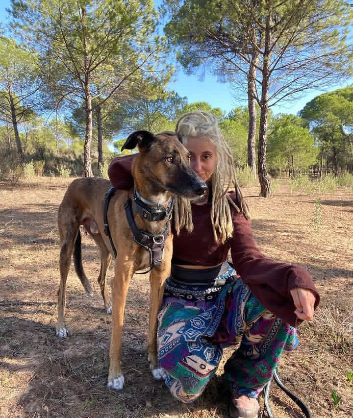 Meiling_K9's tweet photo. Treat yourself to my Dropbox, I’ve made sure it’s something special, warming and breathtaking. Perfectly affordable for all"🐾

 #knotty #zooskool #denisefrazier #dogknot #doggo ⭐ https://t.co/CretlwFyHM