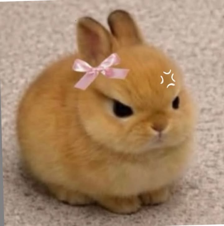 mochiiesx tweet picture
