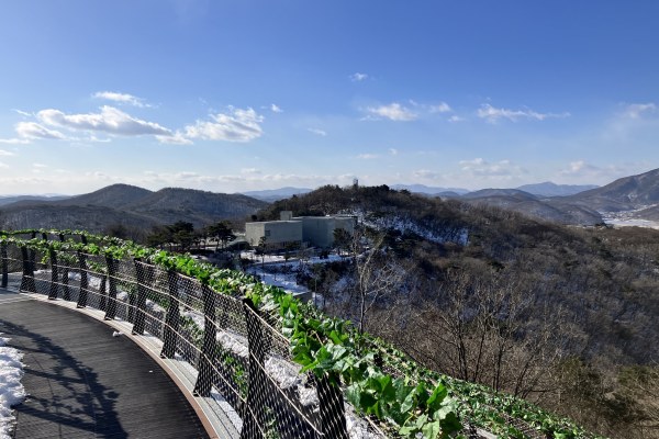 vacation_his's tweet photo. ／
🇰🇷北朝鮮が見えるスターバックス☕️へご案内❗️
＼
愛妓峰（エギボン）スタバ半日送迎ツアー or
インスタ映えスポット巡り1日ツアー

#北朝鮮 からわずか1.4km❗️
#DMZ から一番近い統制区域にある唯一のスターバックスとソウル市内インスタ映え🤳スポットツアーもご用意💁

➡️https://t.co/xnxsH76xFt https://t.co/YG7oSaUNJ5