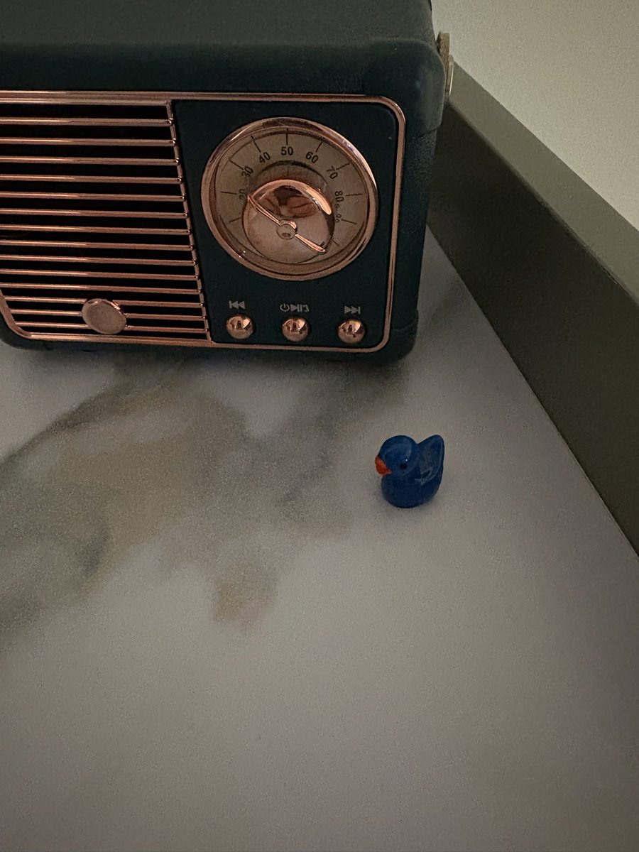 Burgandy19's tweet photo. Being a #ProjectFear fan is finding random lil duckies in random places. This one somehow made its way to my mom’s house. She brought it back to me https://t.co/VsopIvZbNL