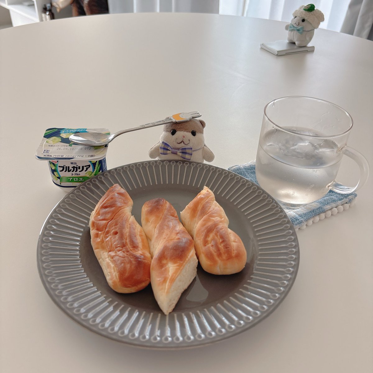 hamham_udon's tweet photo. もーにん https://t.co/ZHXK8pJylG