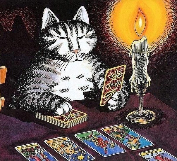arcticlara's tweet photo. boa noite mutuais vou dormir q meu tarot mandou eu mudar de vida (quase tudo invertido [socorro]) https://t.co/X6wNPMaGO4
