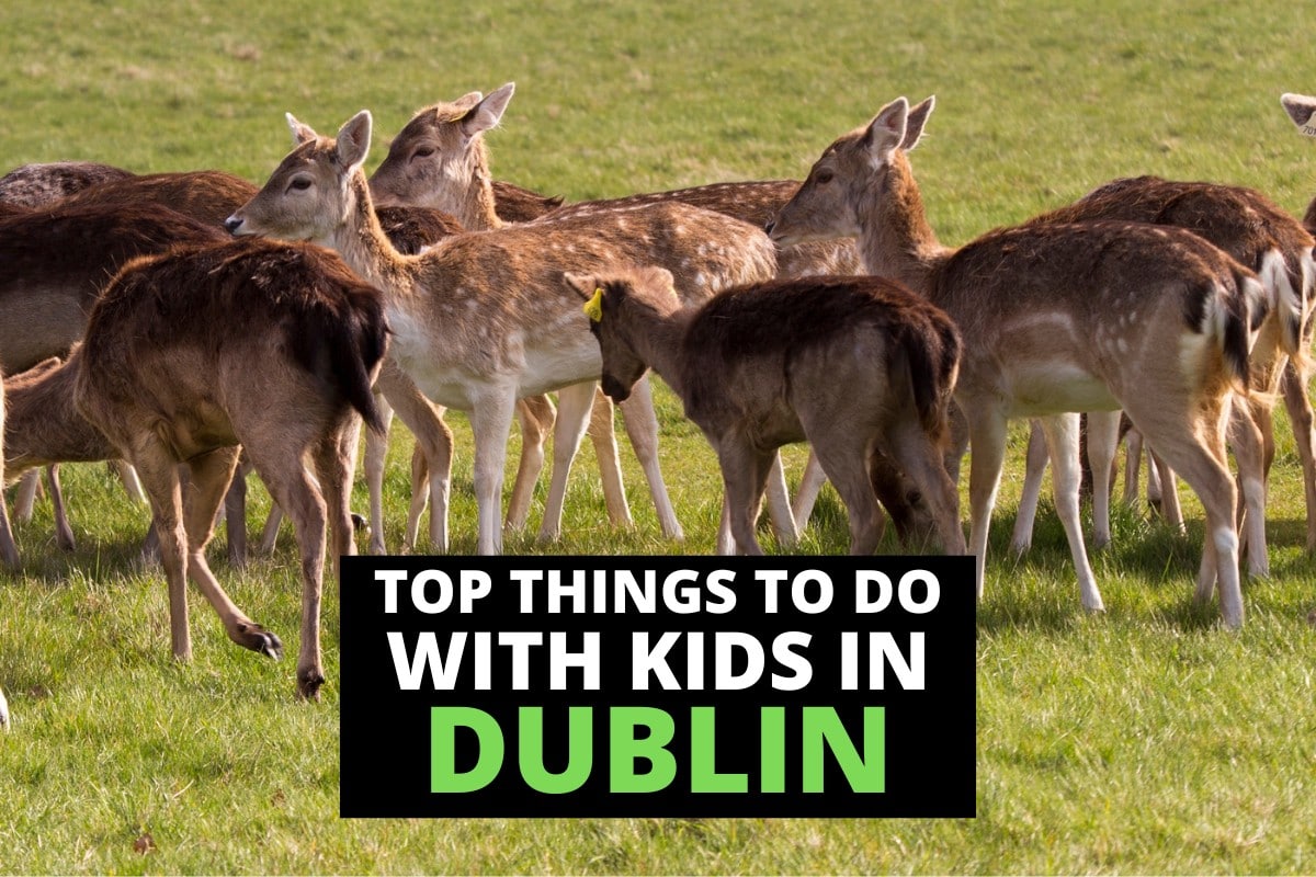 TopTenDublin's tweet photo. Family days in Dublin don't have to mean the same three tourist stops. Our guide rounds up the best places to take kids, from hands-on museums to easy afternoons outdoors.

https://t.co/iUzJEuzlZn https://t.co/854yrOzvNk
