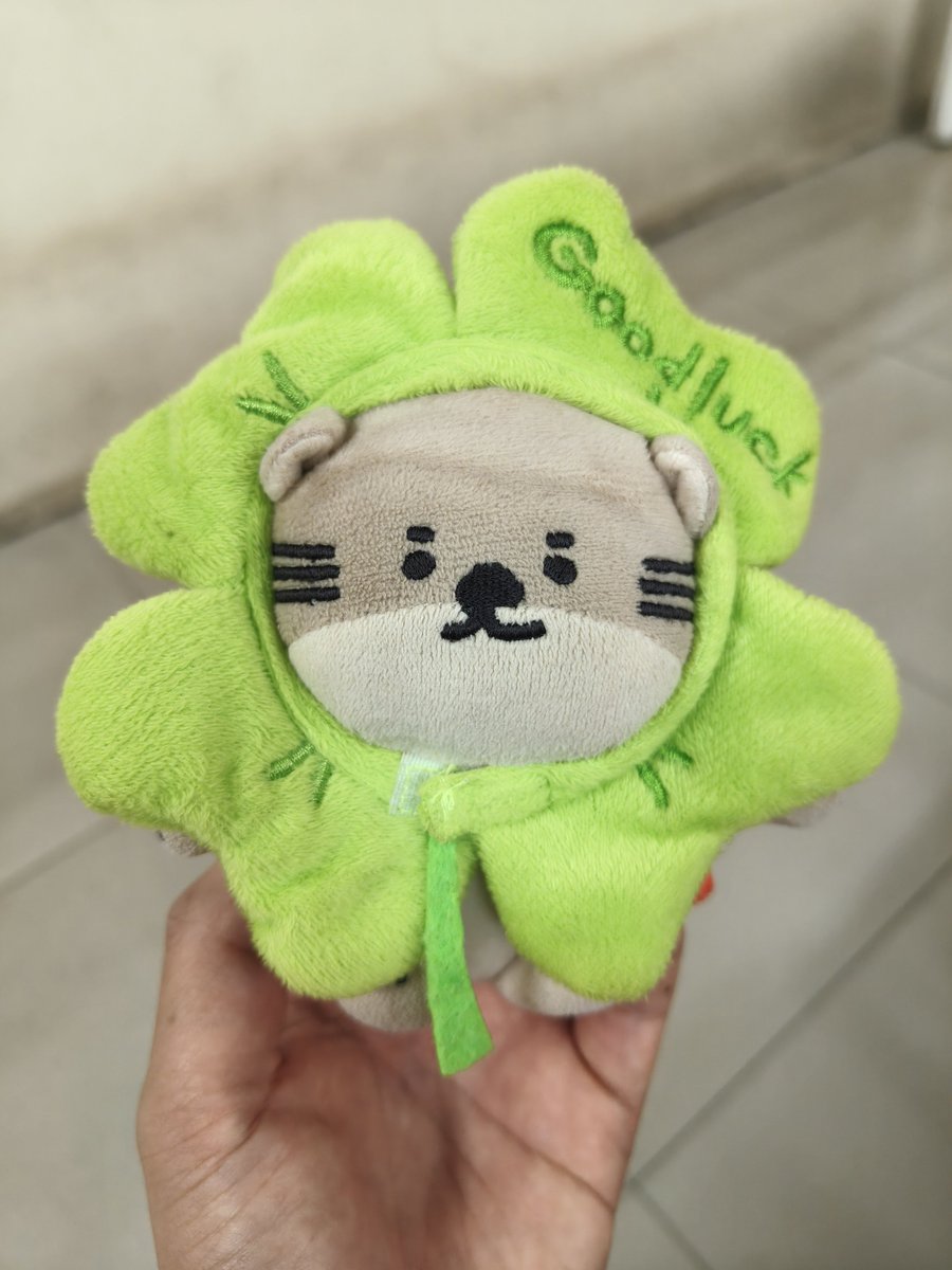 totosut238's tweet photo. สมาชิกใหม่วงพลังใบ #Nongnooong https://t.co/mU0w3wUT7y
