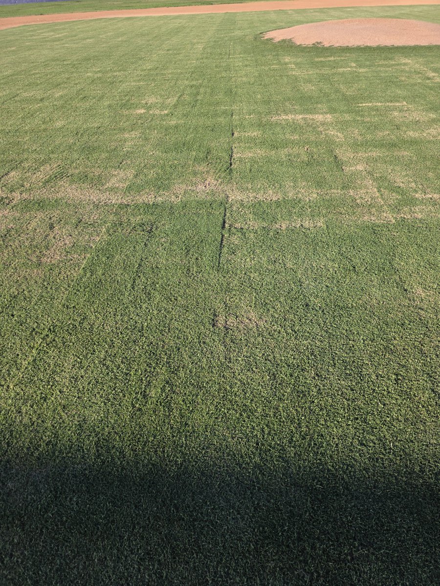 TheeRayRivera32's tweet photo. Gave her a haircut today. Gotta fix my mower...getting an uneven cut. Driving me nuts. https://t.co/RpMs9WtywS